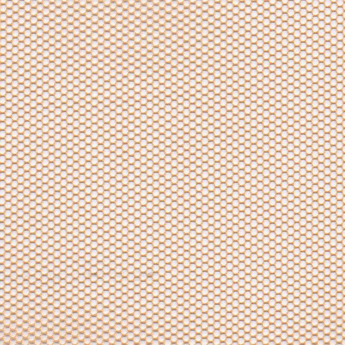 HT0037 var.23